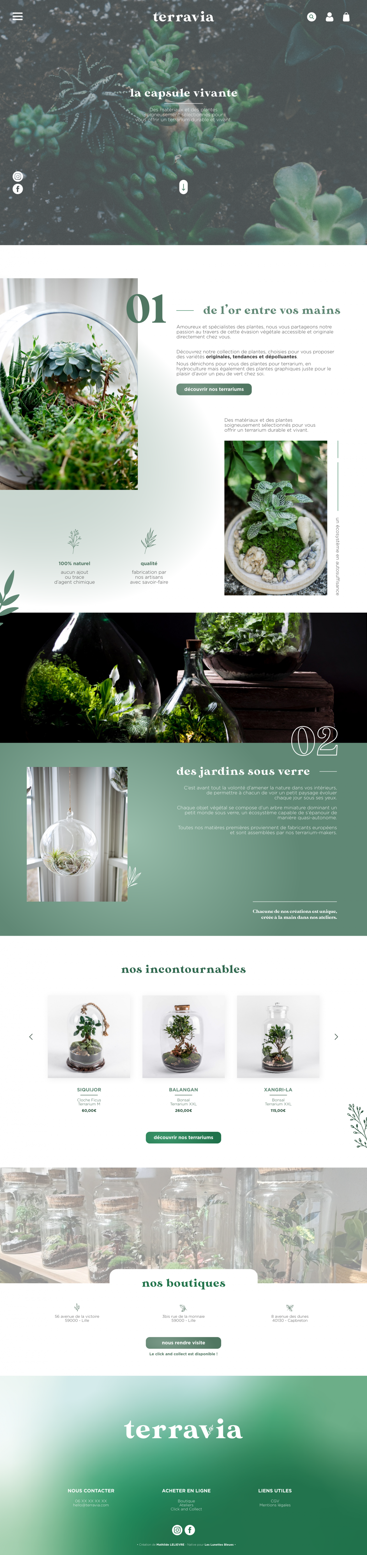 WebDesign for Terravia